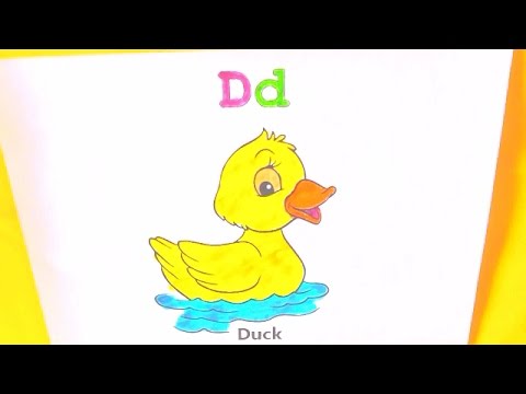 480x360 Coloring Pages For Kids Fun Learning How To Color Duck Drawing
