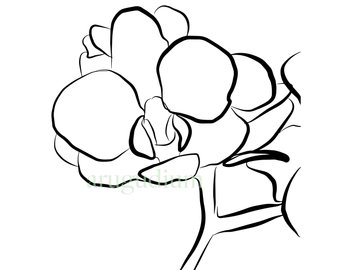 340x270 Flower Drawing Etsy