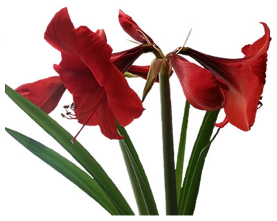 400x320 Online Art Lessons How To Use Artist Drawing Patterns