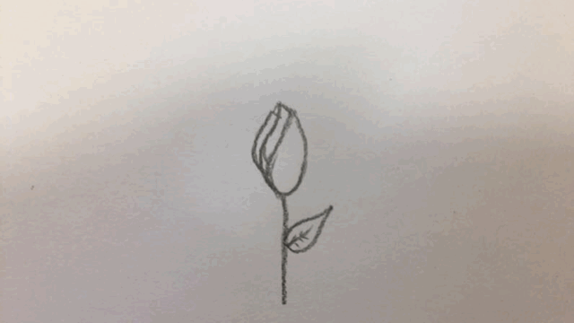 640x360 january shannon hurley illustration