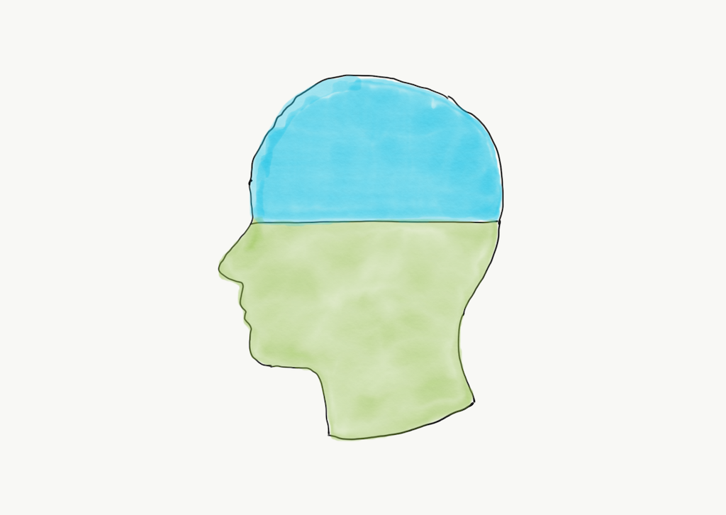 1024x726 the difference between amateurs and professionals