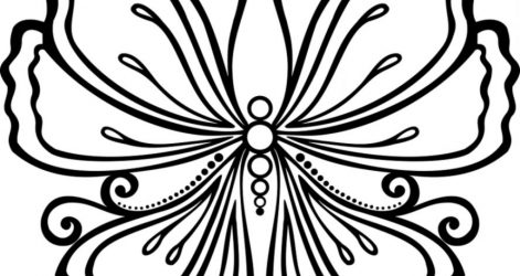 471x250 Butterfly Pictures And Drawings Easy Step