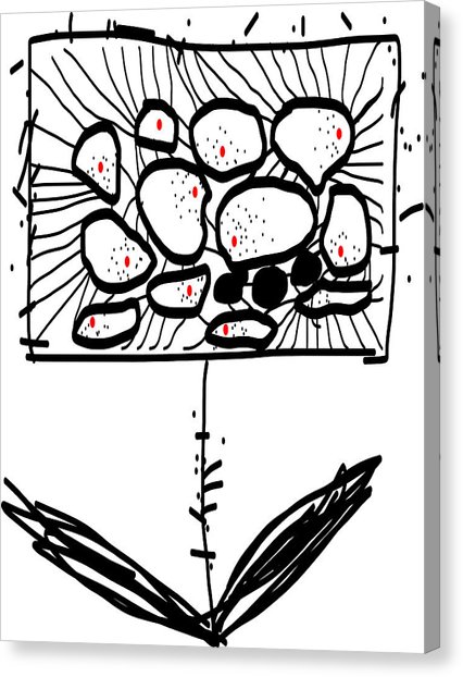 426x622 Amazing Drawings Canvas Prints