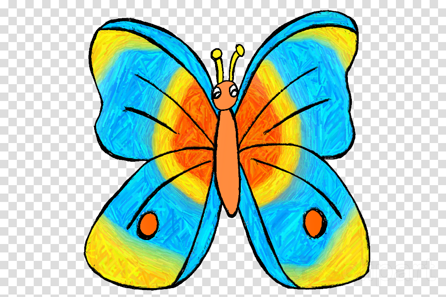 900x600 Butterfly, Jungle, Transparent Png Image Clipart Free Download