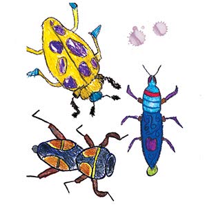 300x300 Draw, Paint, Sparkle Creative Projects From An Elementary Art