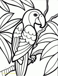 231x300 Rainforest Coloring Page