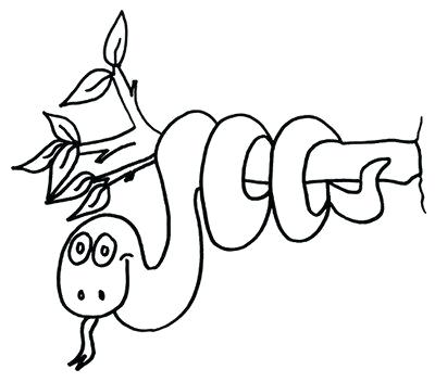 400x352 Amazon Animals Coloring Pages Baby Forest Animals Animals