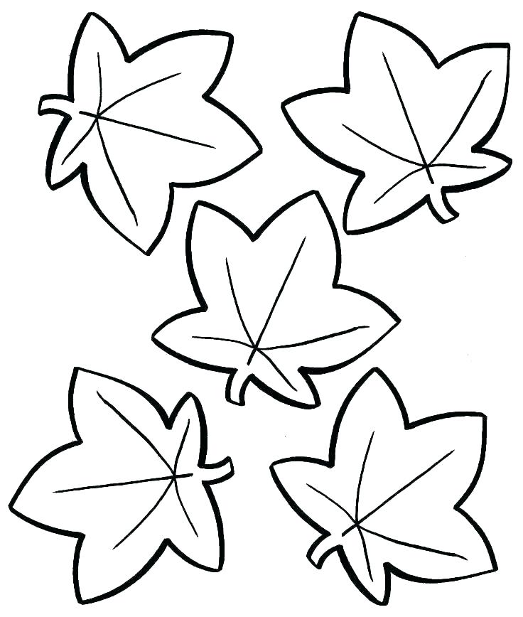 736x868 Animals To Color Cute Coloring