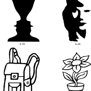 320x320 Examples Of Stimuli Used In Experimental Tasks