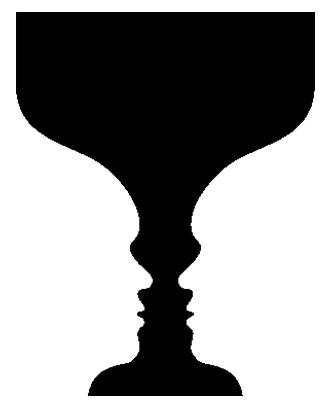 331x409 Face Illusions