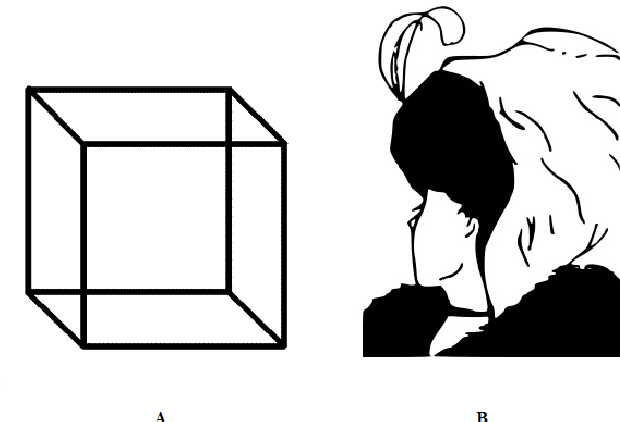 620x422 Figure From Top Down Influences To Multistable Perception