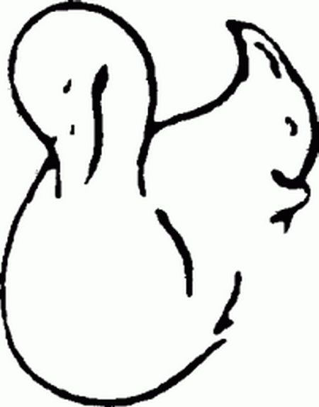 450x574 Nice Ambiguity Showing Both Swan And Squirrel Optical Illusions