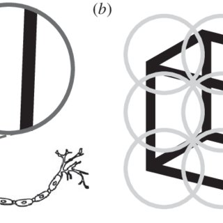320x320 a a necker cube a two dimensional line drawing of a cube lacks