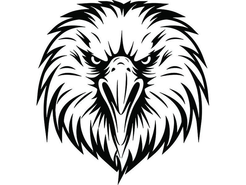 794x597 Bald Eagle American Bird Head Face Cartoon College High Etsy