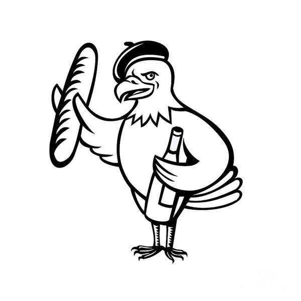 600x600 Bald Eagle Drawing Art Fine Art America