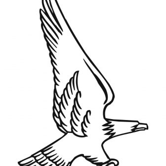 336x336 Bald Eagle Drawing Easy Sketches American Flag Color Outline Free