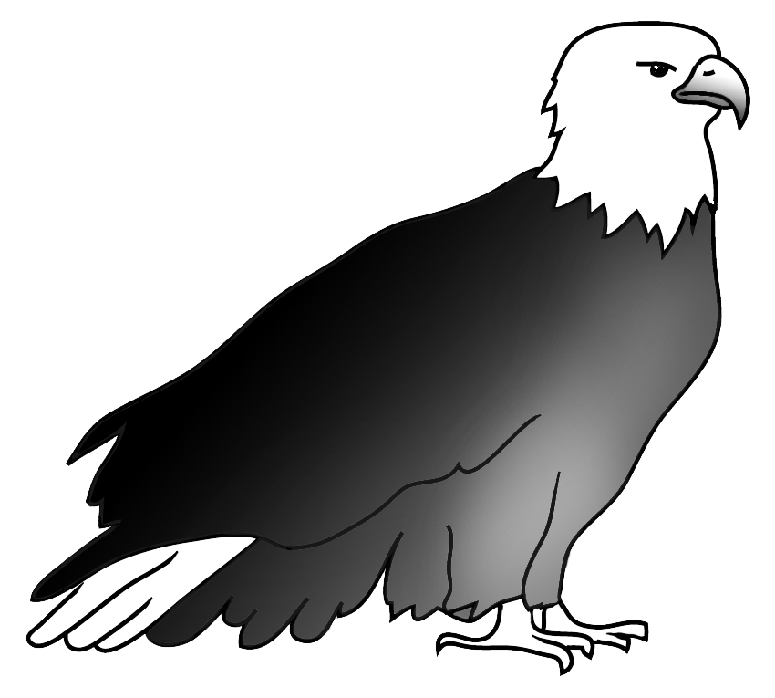 850x765 Bald Eagle Drawings