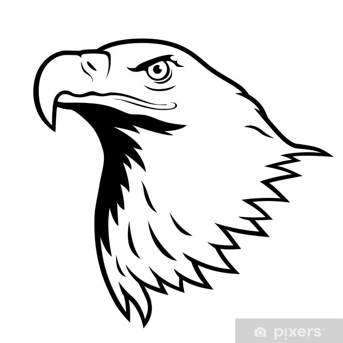 700x700 Bald Eagle, American Eagle Wall Mural We Live To Change