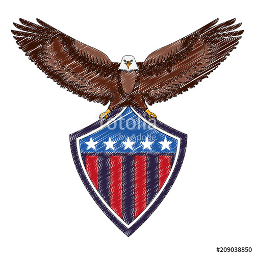 500x500 American Eagle Flag Shield National Symbol Vector Illustration