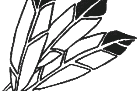 450x300 Images Of Indian Feathers Drawing