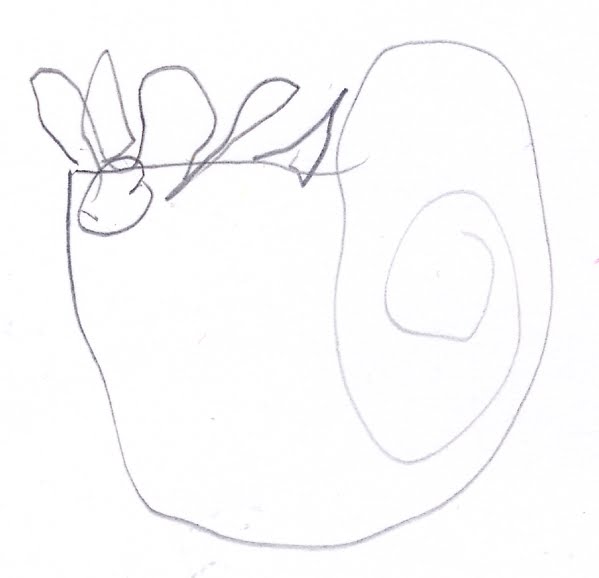 599x578 Craft Knife Drawing Dinosaurs