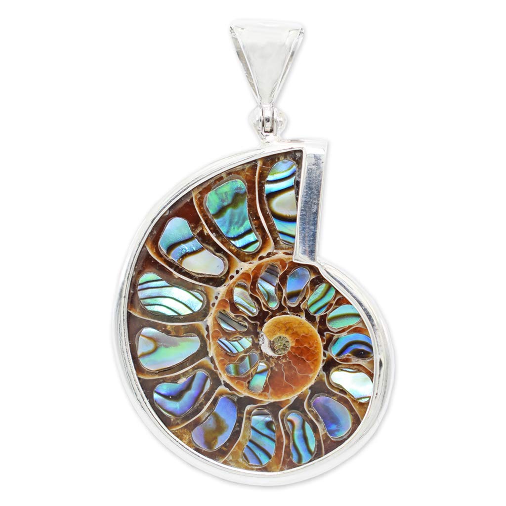 1024x1024 ammonite abalone shell pendant necklace