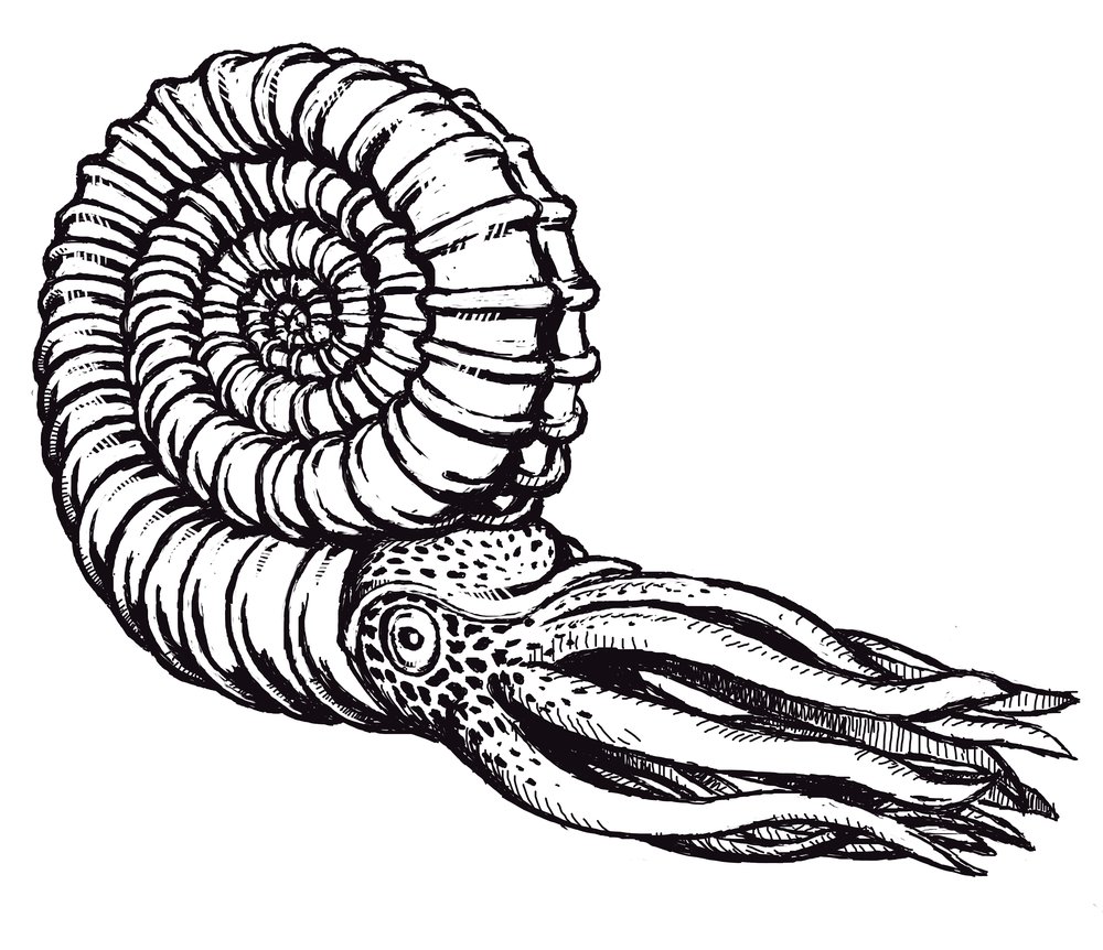 1000x862 Graphics Joe Tait Art