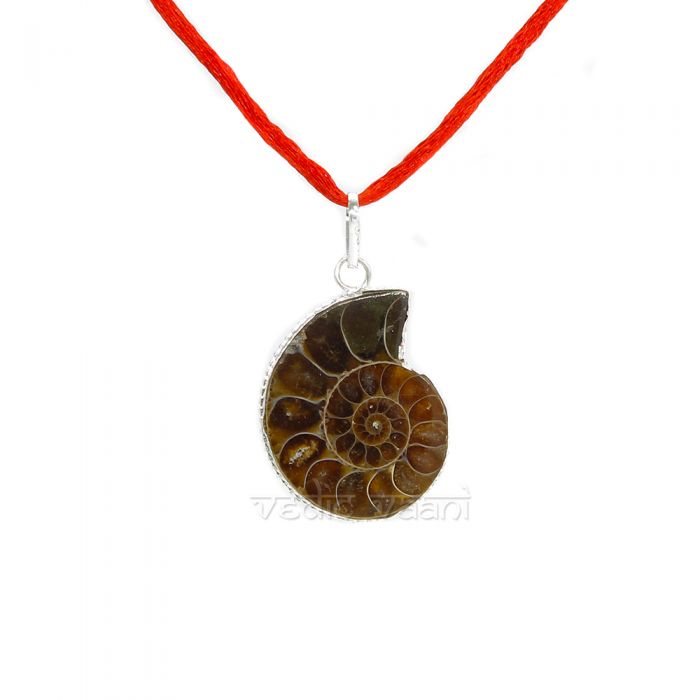 700x700 natural ammonite shell pendant shop online