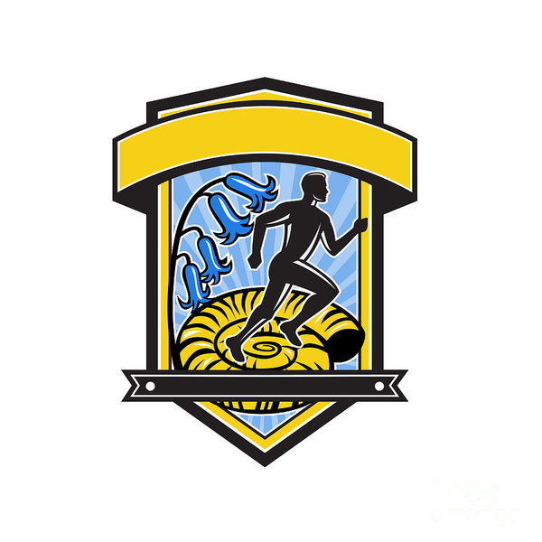 600x600 ammonite art