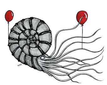 340x270 ammonite print etsy