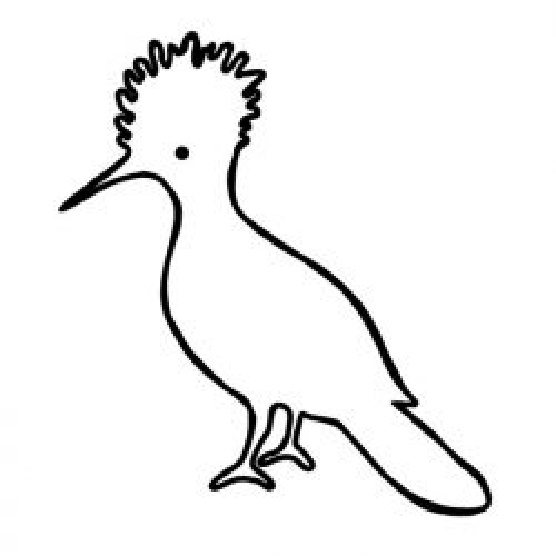 500x500 vorticon, aiden