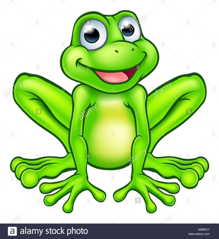 728x792 cute frog drawing face of a amphibians asian colour i fertility