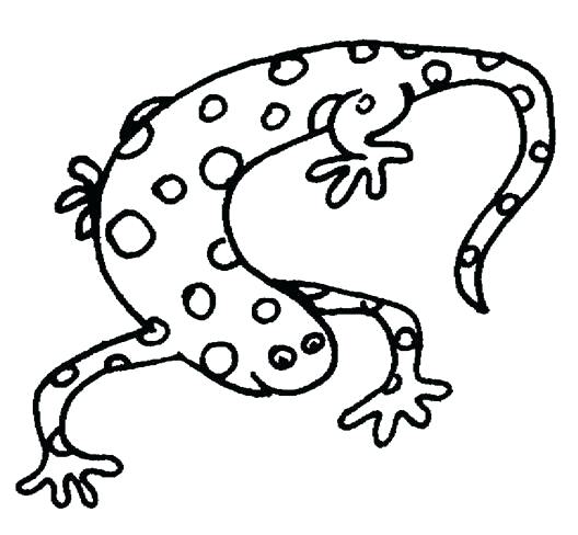 Amphibians Drawing | Free download on ClipArtMag