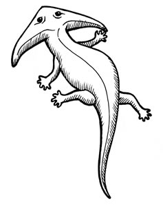 237x300 land plants amphibians