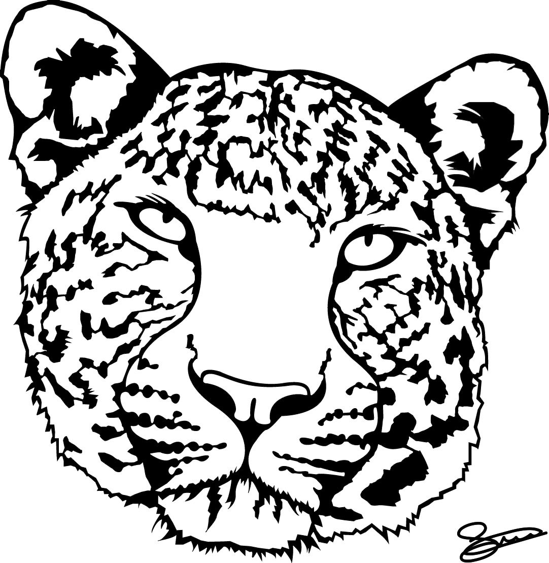 Amur Leopard Drawing | Free download on ClipArtMag