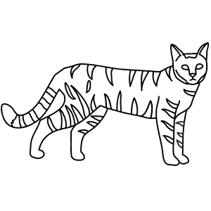 300x300 Learn How To Draw Animals Step