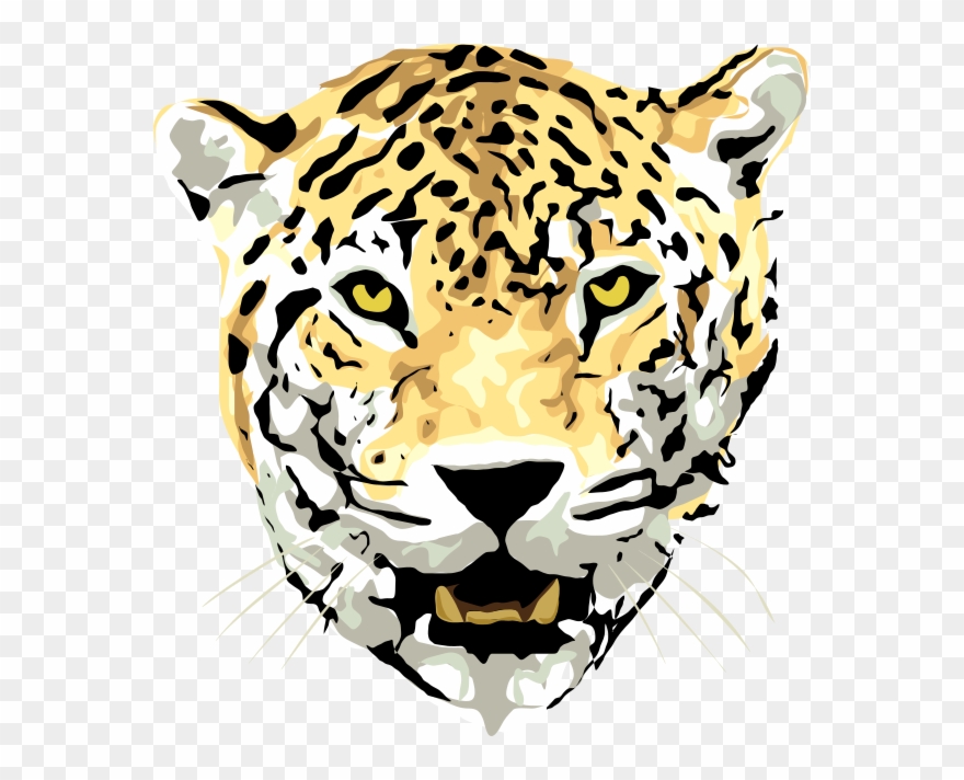 880x712 Leopard Head With Empty Background Clipart