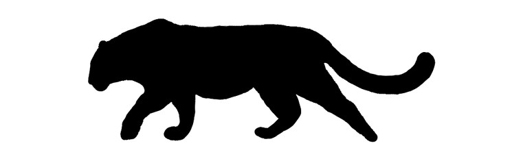 761x235 Most Endangered Cats In The World