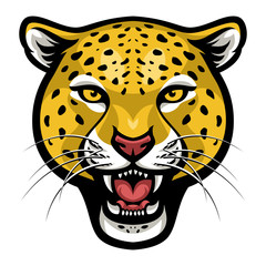 240x240 Search Photos Amur Leopard