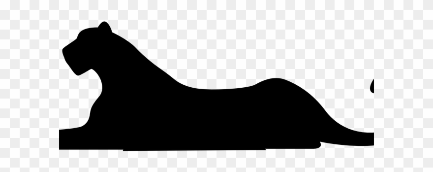 880x349 Amur Leopard Clipart Wild Cat