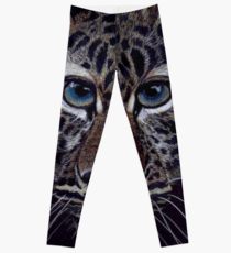 210x230 Amur Leopard Drawing Leggings Redbubble