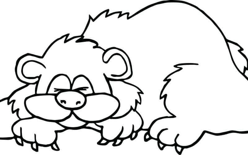 800x500 Roses Printable Coloring Pages Heart And Rose Coloring Pages Free