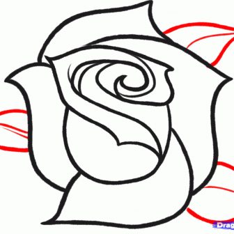 336x336 An Easy Drawing Of A Rose Butterfly On Black Compass Beautiful