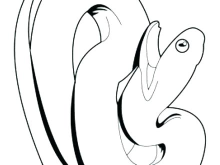 440x330 boa constrictor coloring