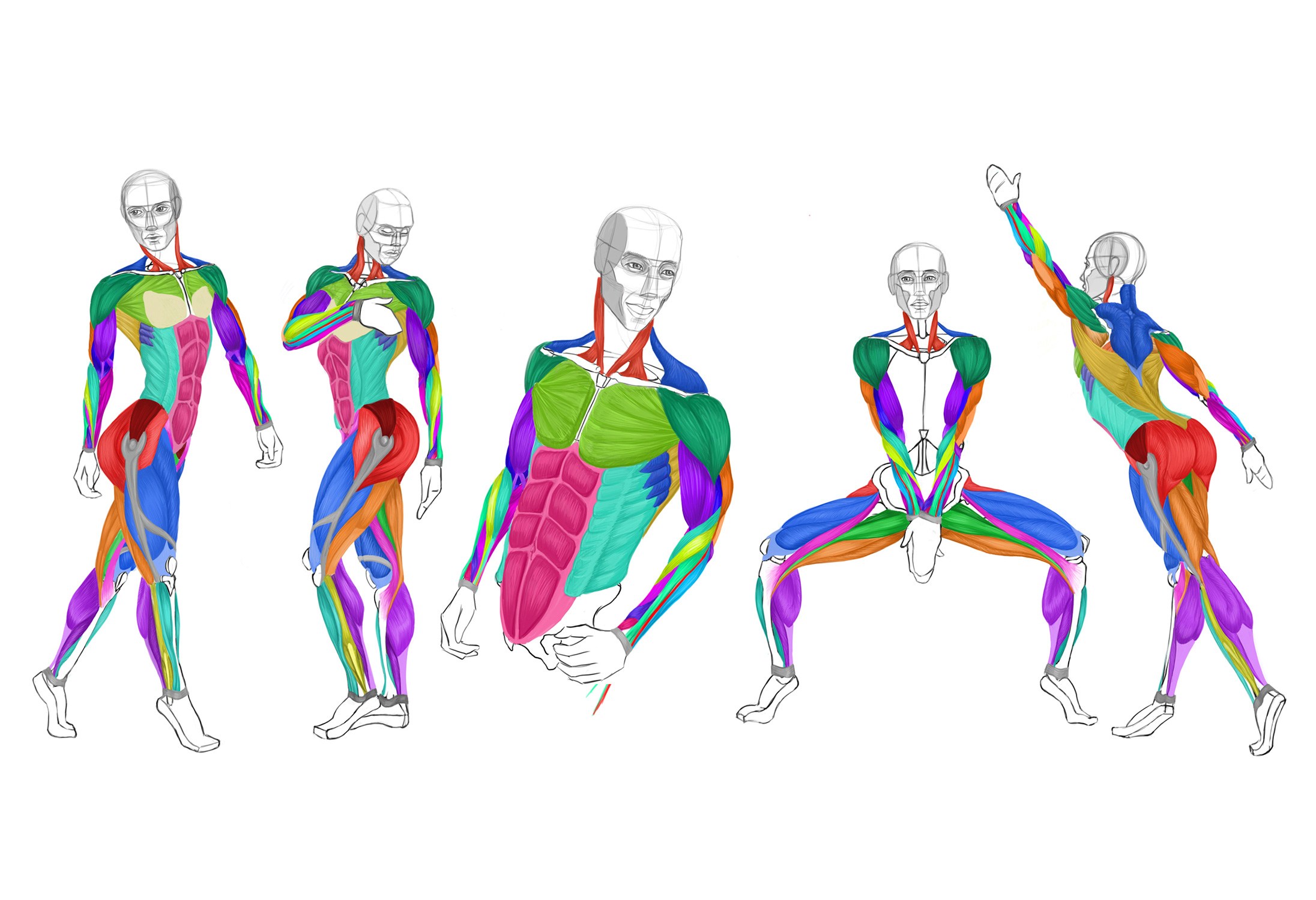 2192x1500 Analytical Figure Drawing Anri Olivier, Llc