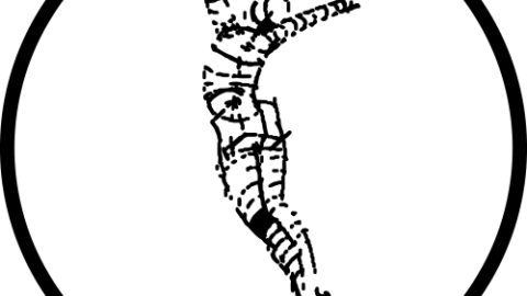 480x270 Section Drawing Archilibs