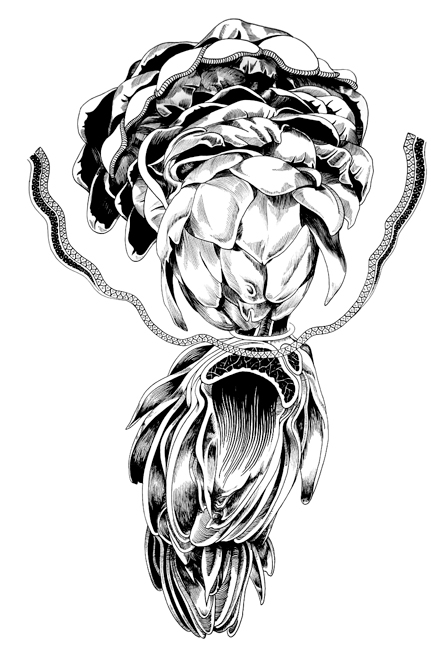 431x650 david mazure the anatomy of quantum psychology