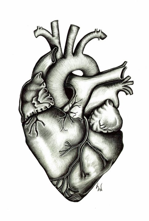 485x720 Heart Beating For You