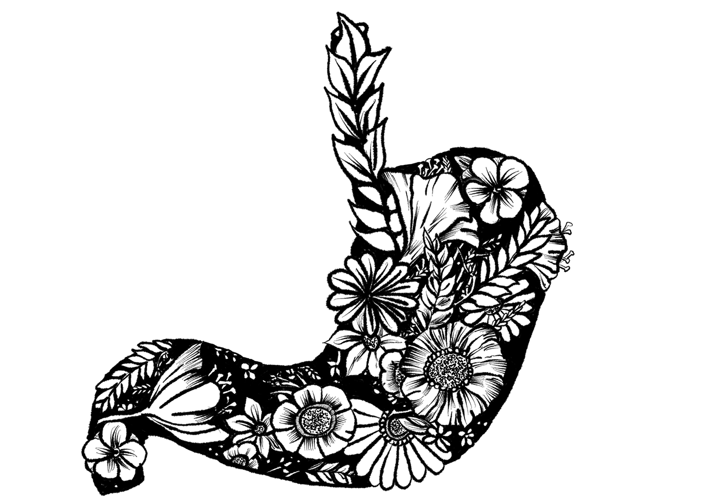 1400x990 Human Nature A Collection Of Anatomical Drawings On Behance