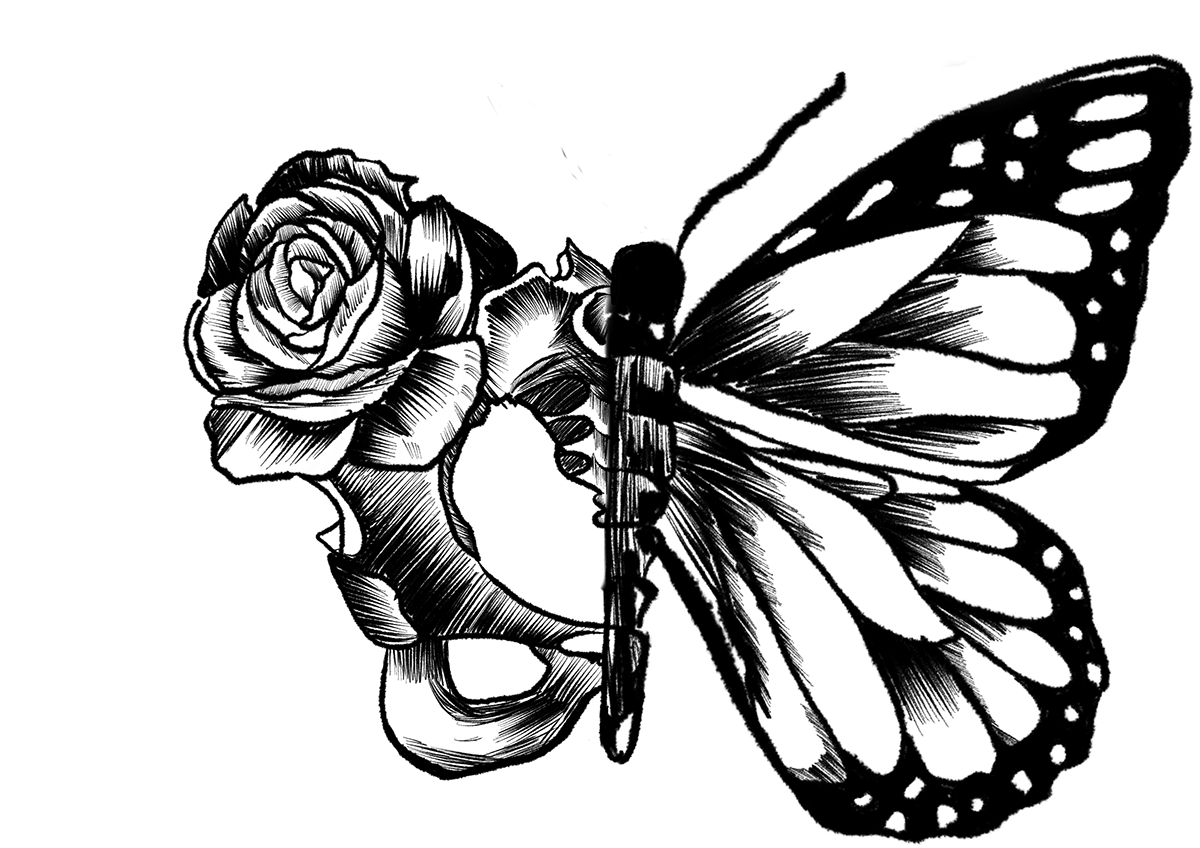 1200x848 Human Nature A Collection Of Anatomical Drawings On Student Show